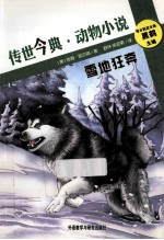 传世今典 雪地狂奔