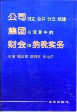 公司创立 合并 分立 组建集团与清算中的财会和纳税实务