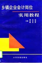 乡镇企业会计岗位实用教程