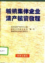 城镇集体企业清产核资教程