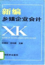 新编乡镇企业会计