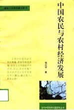 中国农民与农村经济发展