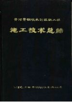 黄河青铜峡水利枢纽工程施工技术总结