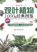 观叶植物1000种经典图鉴 终极版