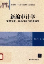 新编审计学 案例分析、职场考证与创业辅导