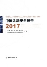 中国金融安全报告 2017