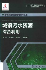 城镇污水资源综合利用