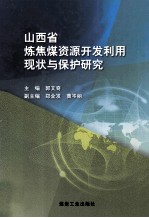 山西省炼焦煤资源开发利用现状与保护研究