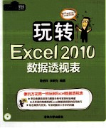 玩转Excel2010数据透视表