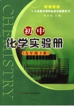 初中化学实验册 九年级 上