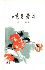 一束芙蓉花