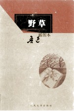 野草 插图本