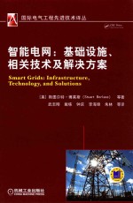 智能电网  基础设施、相关技术及解决方案