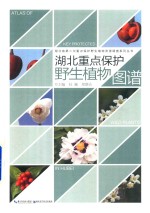 湖北省重点保护野生植物图谱