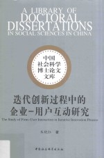 迭代创新过程中的企业 用户互动研究