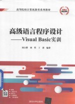 高级语言程序设计 Visual Basic实训