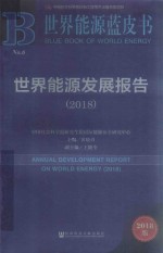 世界能源蓝皮书 世界能源发展报告 2018版