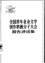 全国青年业余文学创作积极分子大会报告、讲话集