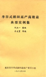 半旱式稻田高产高效益典型实例集