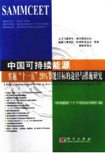 中国可持续能源 实施“十一五”20%节能目标的途径与措施研究