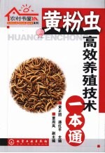 黄粉虫高效养殖技术一本通