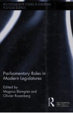 parliamentary roles in modern legislatures