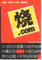 烧.com 21世纪中国最大经济泡沫内幕纪实 中国互连网惊心动魄5年特别报道