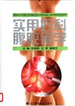 实用妇科腹腔镜学