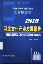 2003年河北文化产业发展报告