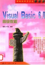 中文Visual Basic 6.0高级教程