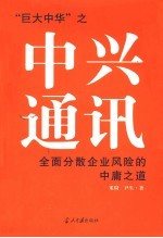 中兴通讯 全面分散企业风险的中庸之道