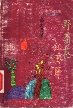 野菊花 红田野