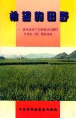 希望的田野 贵州省两个文明建设红旗村先进乡（镇）事迹选编