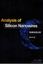 Analysis of silicon nanowires = 硅纳米线分析