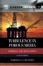 TURBULENCE IN POROUS MEDIA MODELING AND APPLICATIONS SECOND EDITION