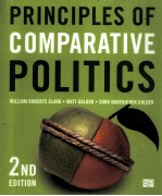 Principles of Comparative Politics