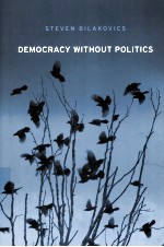 DEMOCRACY WITHOUT POLITICS