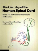 THE CIRCUITRY OF THE HUMAN SPINAL CORD