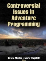 CONTROVERSIAL ISSUES IN ADVENTURE PROGRAMMING