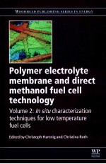 WOODHEAD PUBLISHING SERIES IN ENERGY:NUMBER 31 POLYMER ELECTROLYTE MEMBRANE AND DIRECT METHANOL FUE