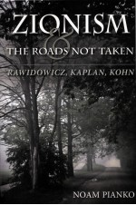 ZIONISM AND THE ROADS NOT TAKEN RAWIDOWICZ