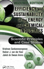 Efficiency and sustainability in the energy and chemical industries : scientific principles and case