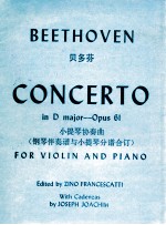 concerto in D major-Opus 61 for violin and piano