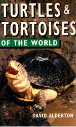 Turtles & tortoises of the world