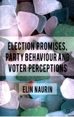 ELECTION PROMISES