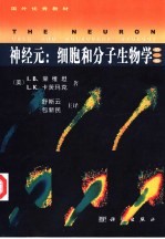 神经元  细胞和分子生物学