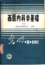 西医内科学基础 下 内科临床学