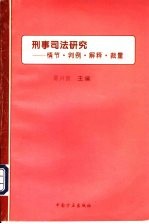 刑事司法研究 情节·判例·解释·裁量