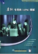 虚拟专用网 VPN 精解