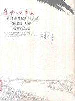 无线城市杯 宜昌市首届科技人员书画摄影大赛获奖作品集